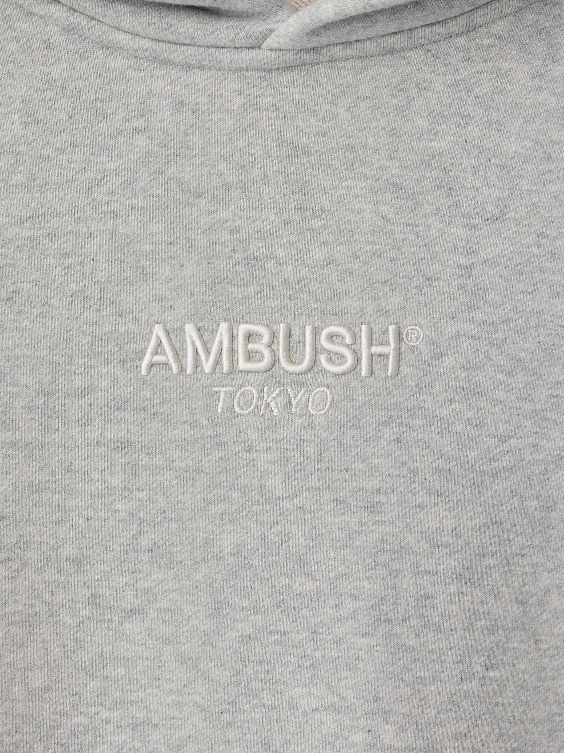 CENTER LOGO HOODIE 詳細画像 Grey 3