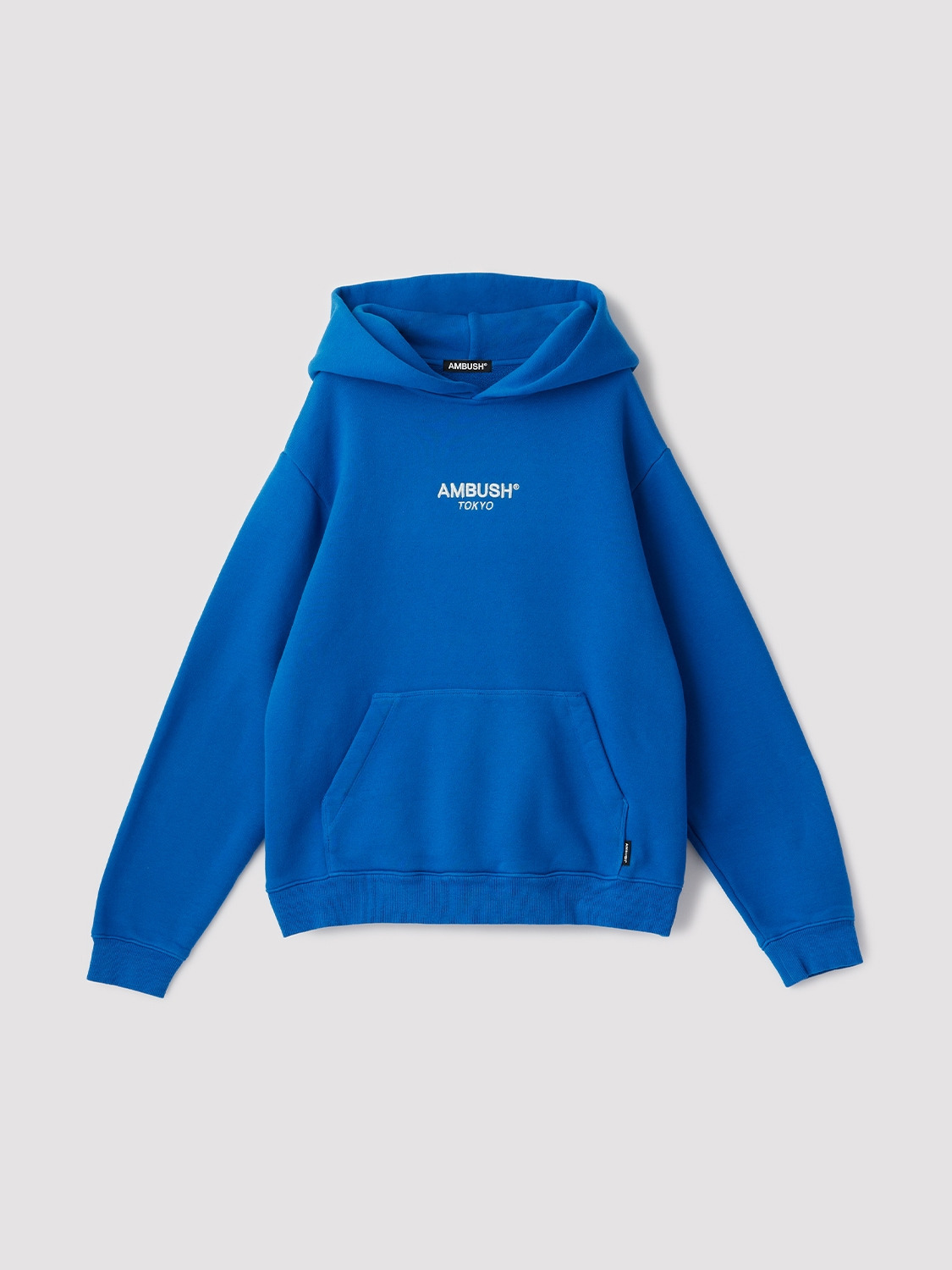 CENTER LOGO HOODIE 詳細画像 Blue 1