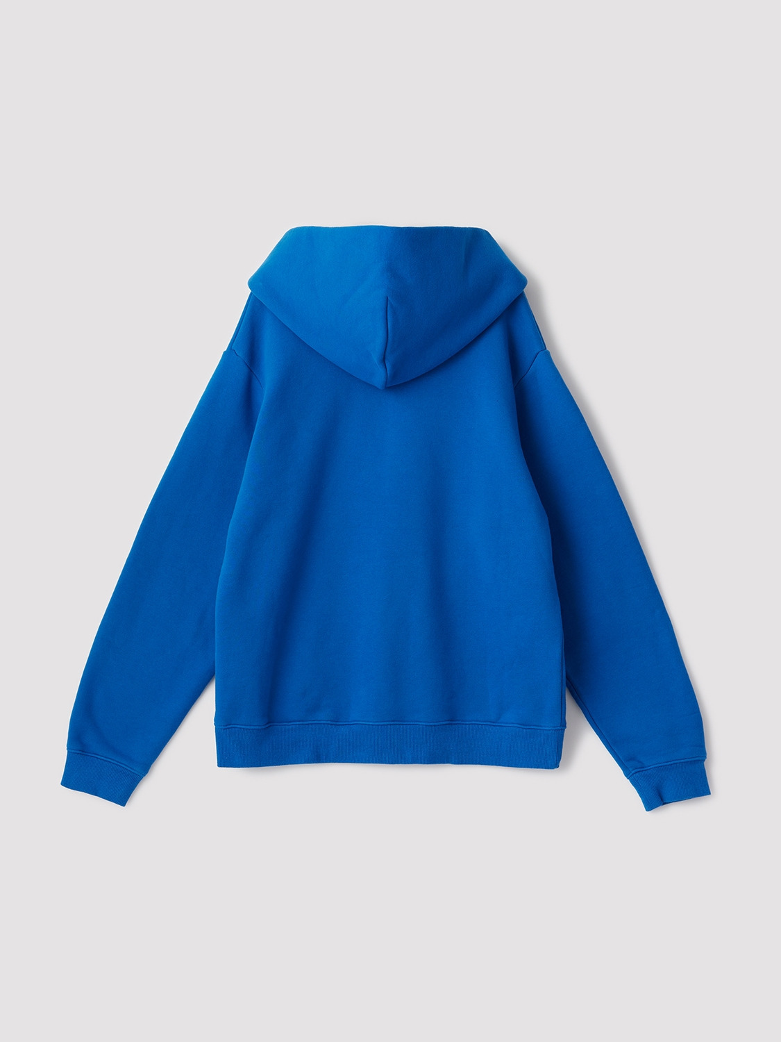 CENTER LOGO HOODIE 詳細画像 Blue 2