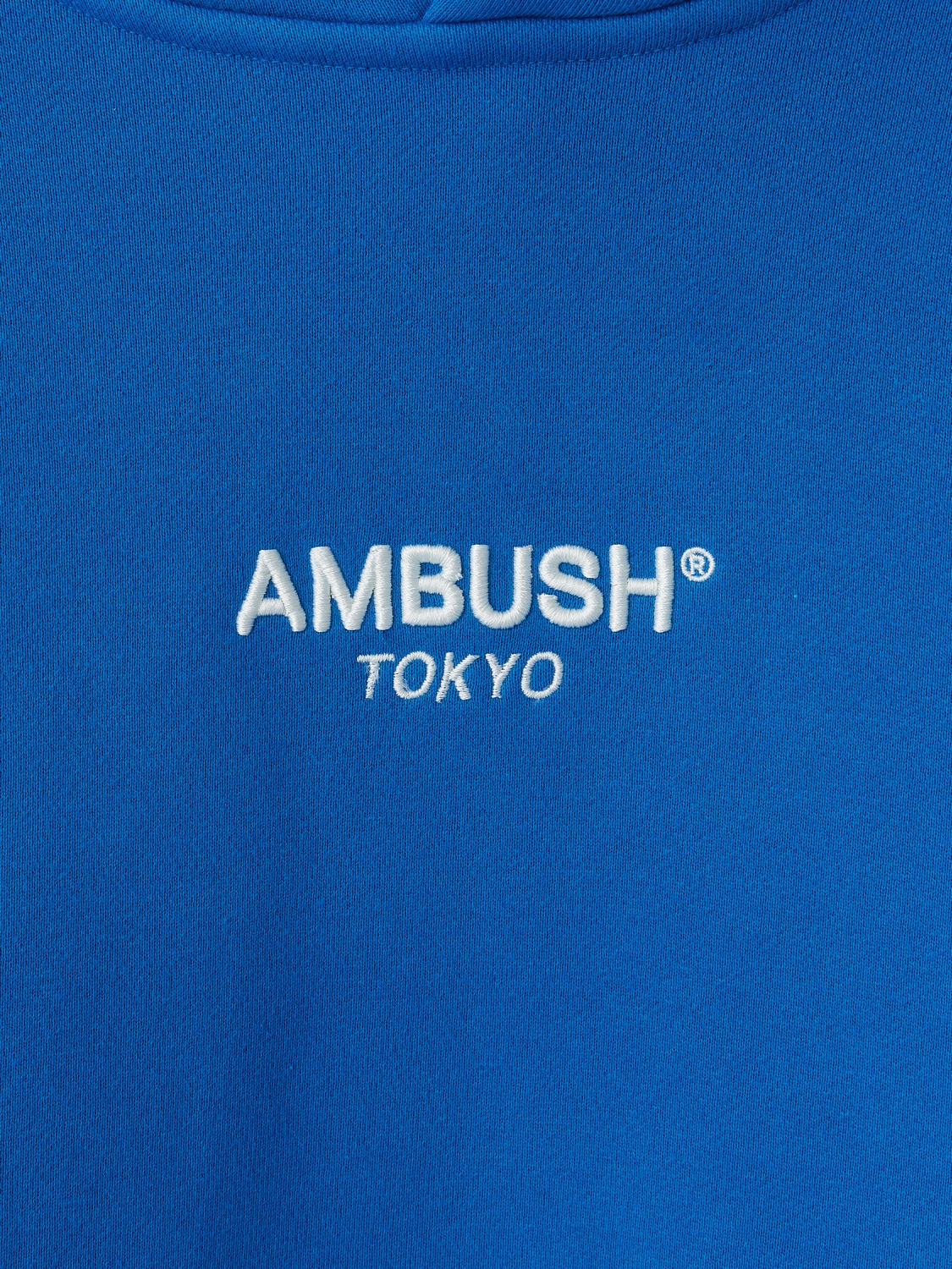 CENTER LOGO HOODIE 詳細画像 Blue 3