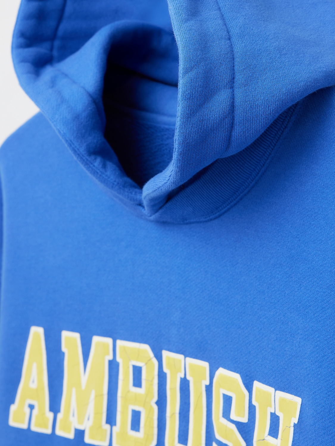 COLLEGE LOGO HOODIE 詳細画像 Blue 3