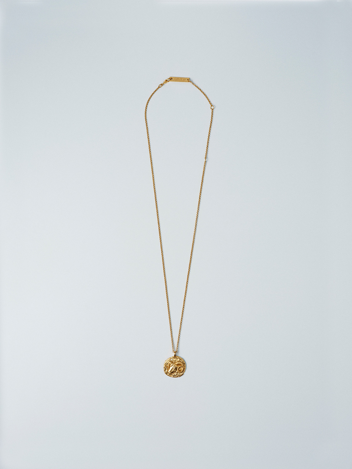 ZODIAC ARIES NECKLACE 詳細画像 Gold 2
