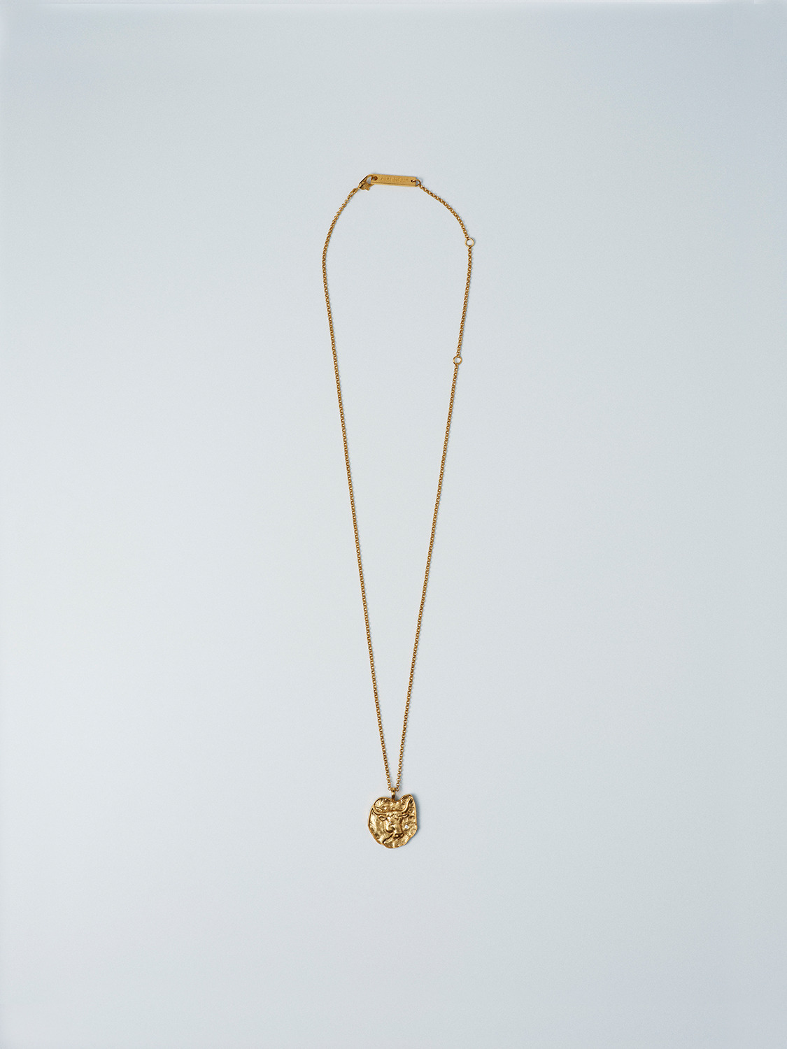 ZODIAC TAURUS NECKLACE 詳細画像 Gold 2