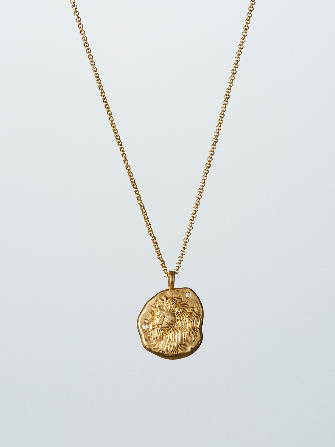 ZODIAC LEO NECKLACE 詳細画像 Gold 1
