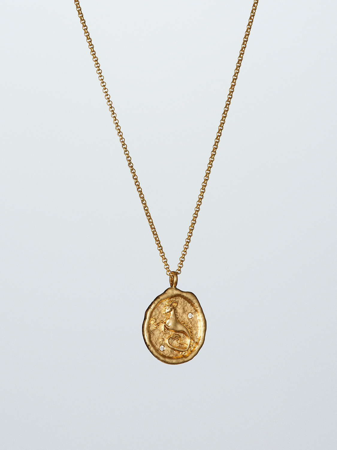 ZODIAC CAPRICORN NECKLACE 詳細画像 Gold 1