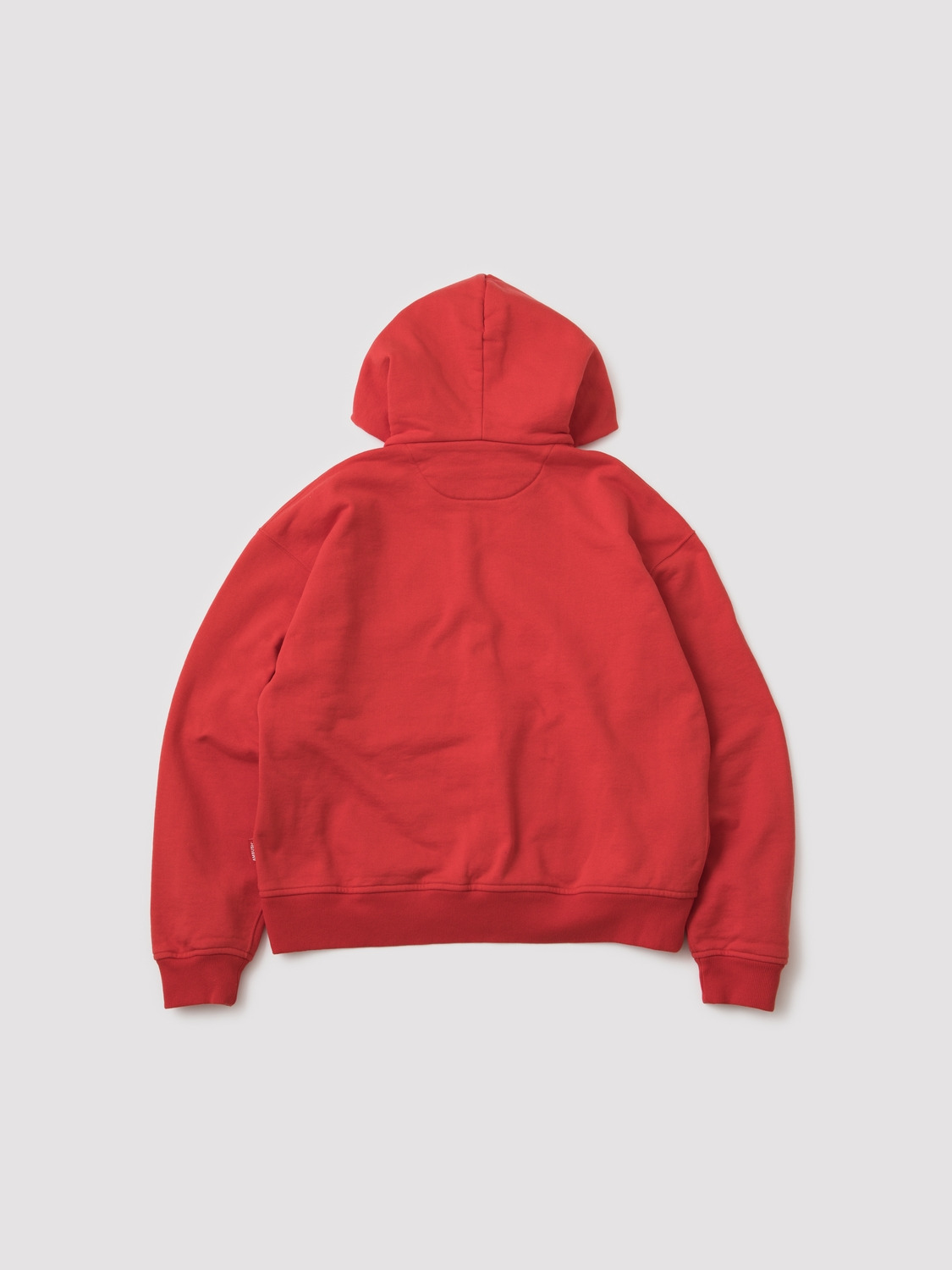 ZIP UP HOODIE 詳細画像 Red 2