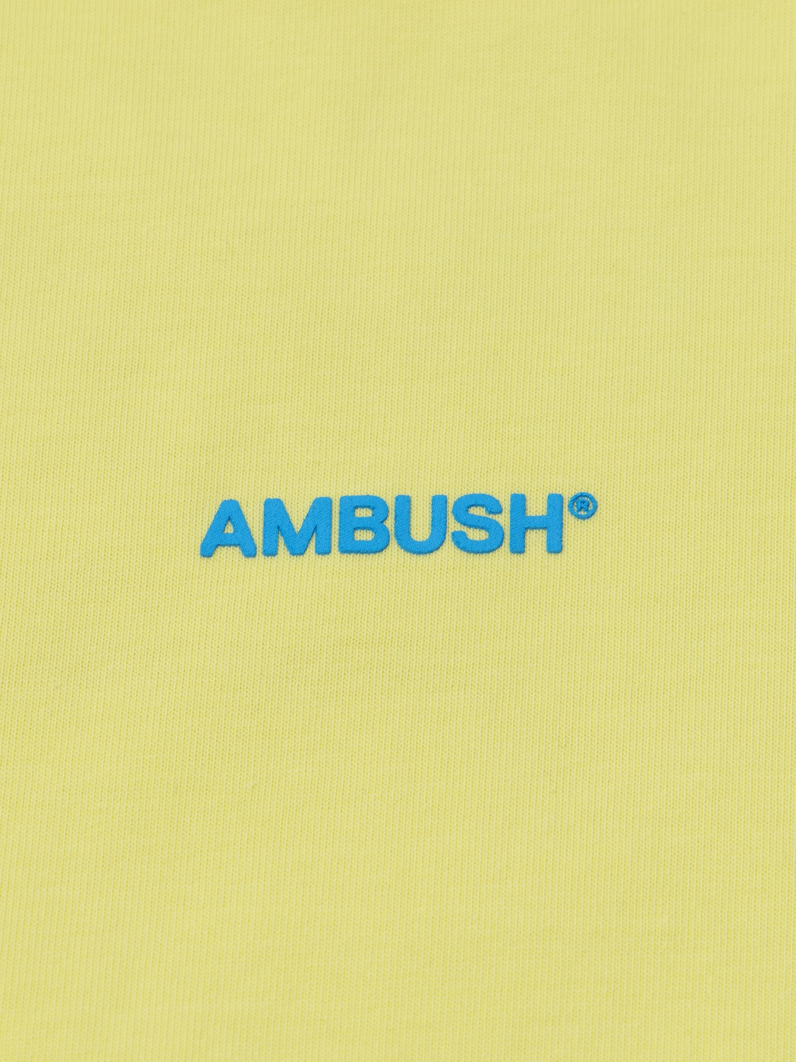 AMB XL LOGO T-SHIRT 詳細画像 L.yellow 3