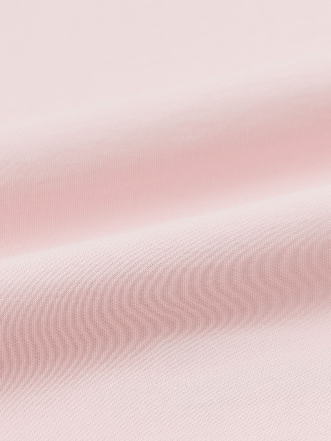 AMB CENTER LOGO T-SHIRT 詳細画像 Pink 4